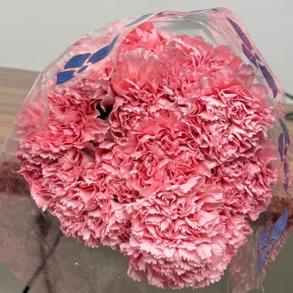 Pink carnations bunch