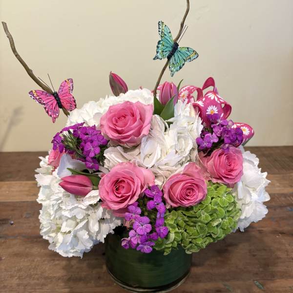 Butterfly’s and Blooms