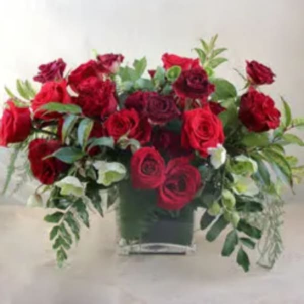 Red rose arrangement in a square vase with trailing greenery