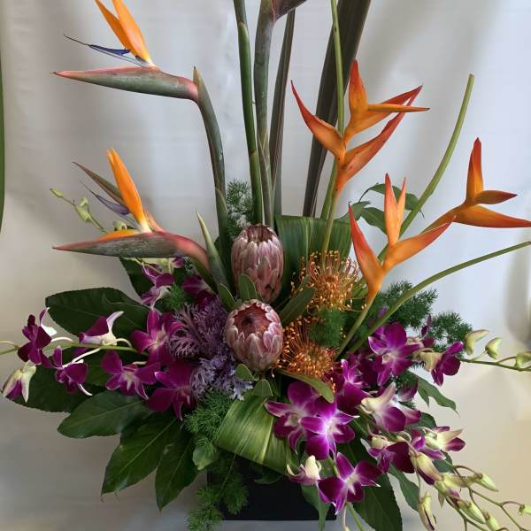 Tall tropical arrangement with orange bird-of-paradise and purple orchids in a black container