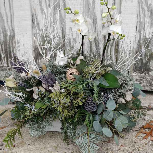 White orchids in a low evergreen arrangement with pinecones and branches