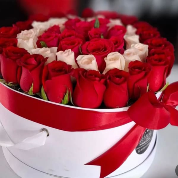 Round box of red and white roses tied with a red ribbon