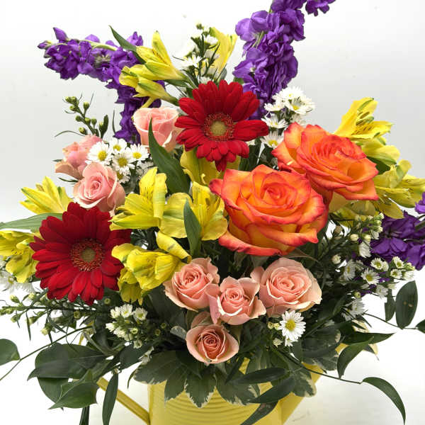 Watering Can Blooms