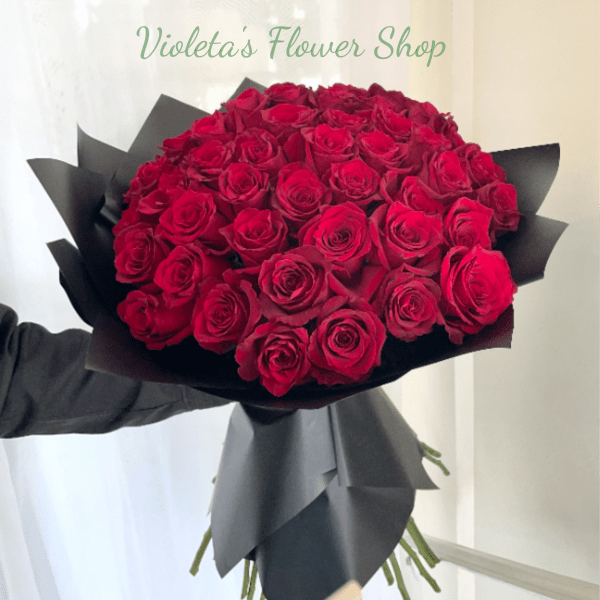 50 Explorer Roses