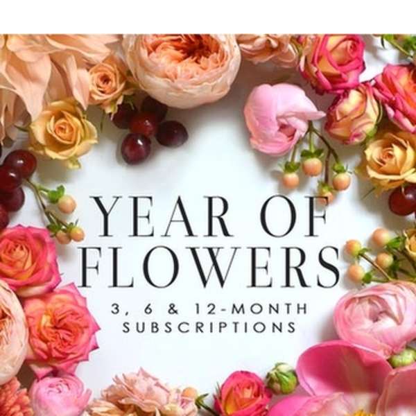 Floral subscription graphic with pink and peach blooms around text