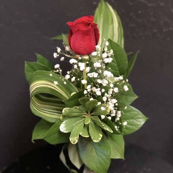 Single Rose in Vase