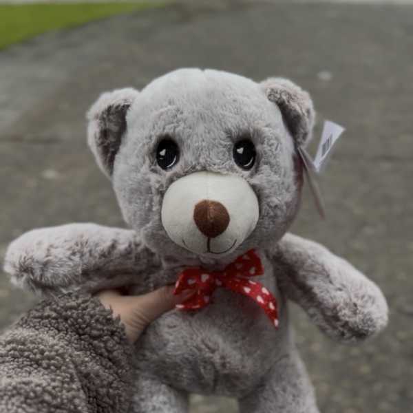 Gray teddy bear with a red bow being held outdoors