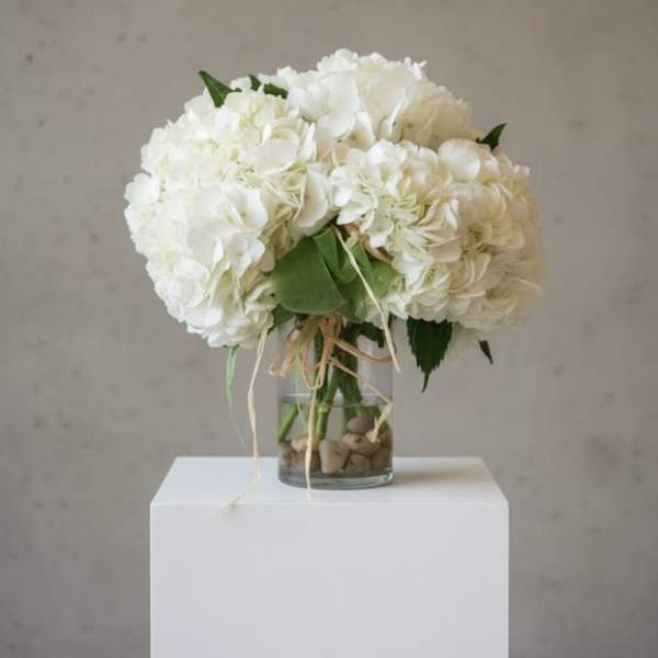 Carnton Hydrangea Cluster in white