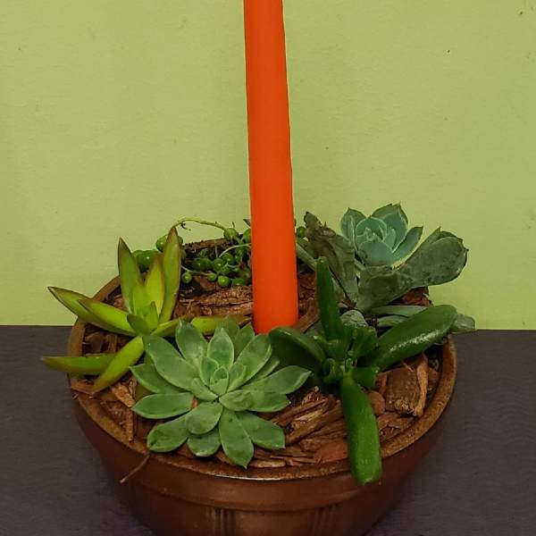 Succulent arrangement with a tall orange candle in a round dish