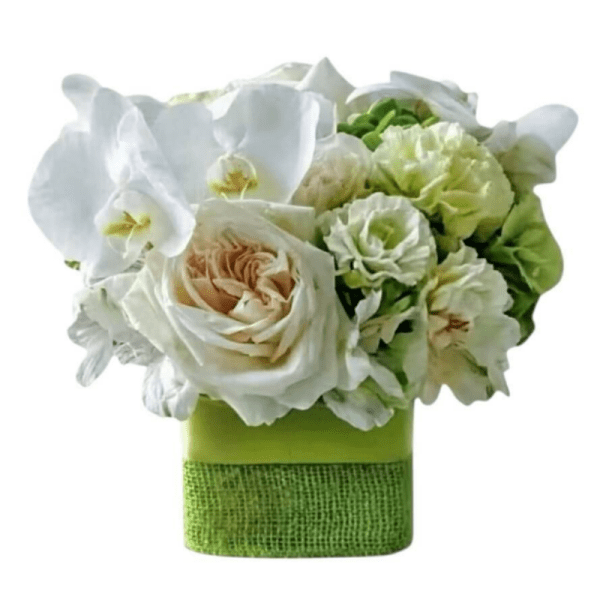 White and pale green floral arrangement in a green wrapped container