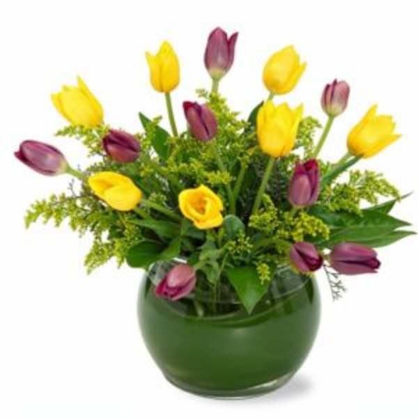 Touch of Tulips Flower