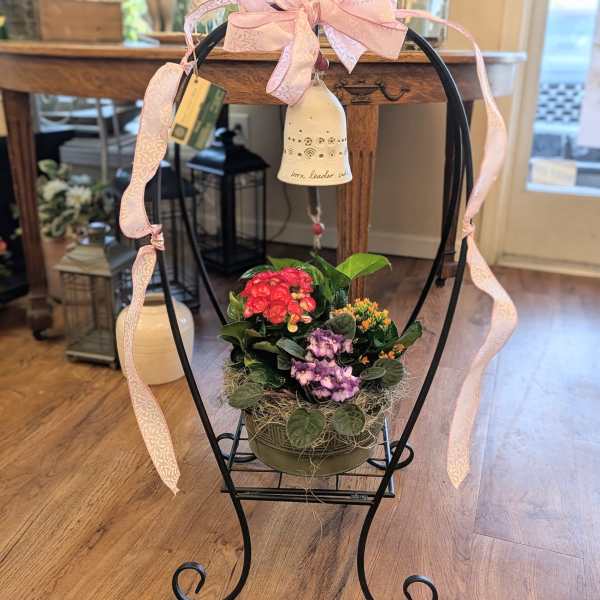 Bountiful Blooms Plant Garden