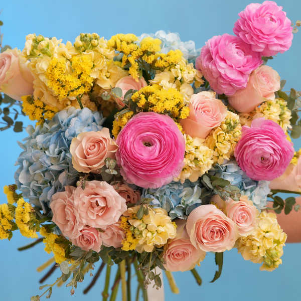 Katy’s Dream