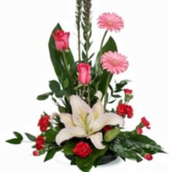Bon Vivant Flower