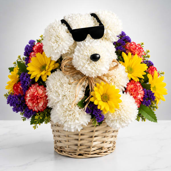 Cool Vibes Puppy