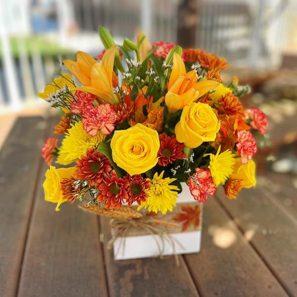 Autumn Present