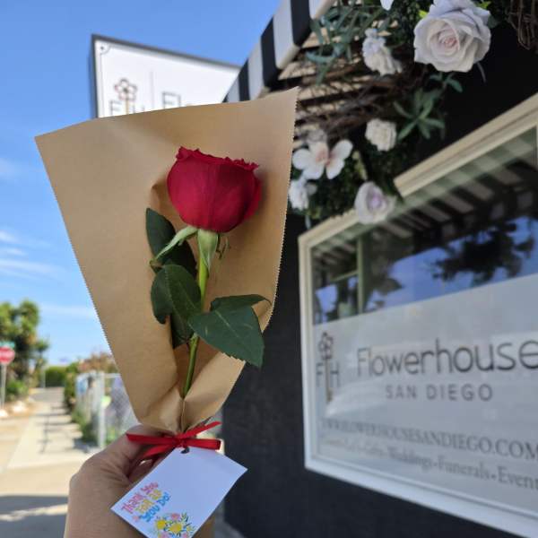 Single Stem Red Roses - Mother's Day
