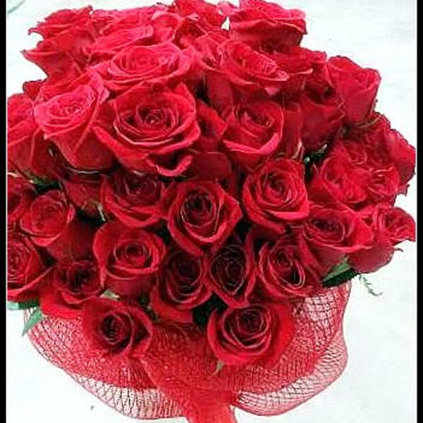 Bouquet of red roses wrapped in red mesh ribbon