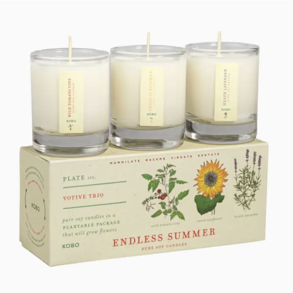 Endless Summer - Plant the Box Votive Candle Trio