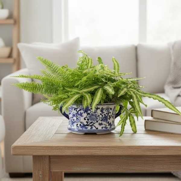Oval Ceramic with a variety of ferns