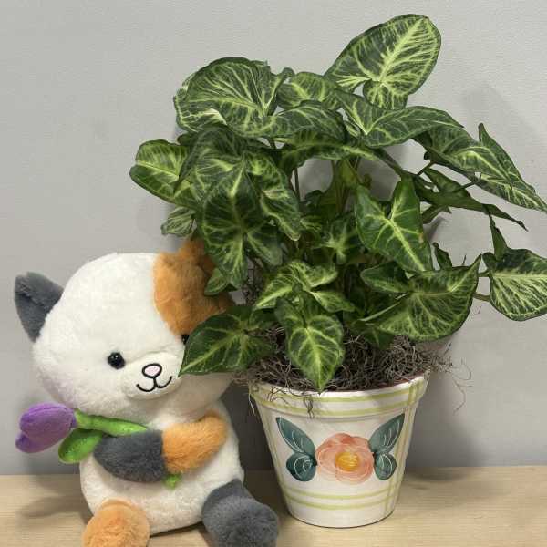 Peach Rose Planter & Kitty