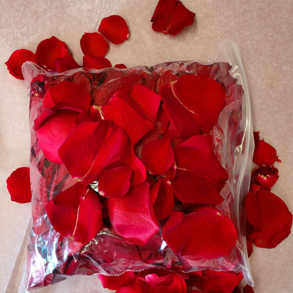 Bag of red rose petals spilled on paper