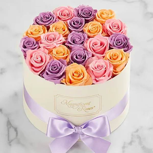 Round box of pink, purple, and peach roses with a lavender ribbon bow