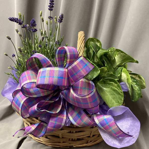 SUMMER PLANT BASKET