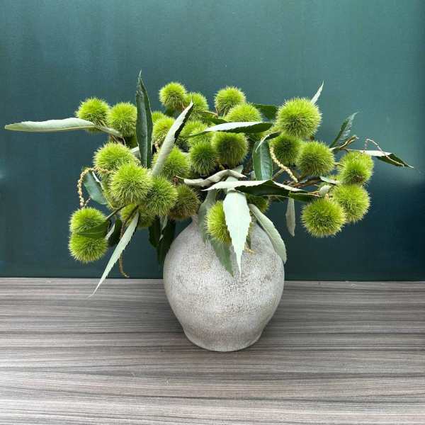 Chestnut pods