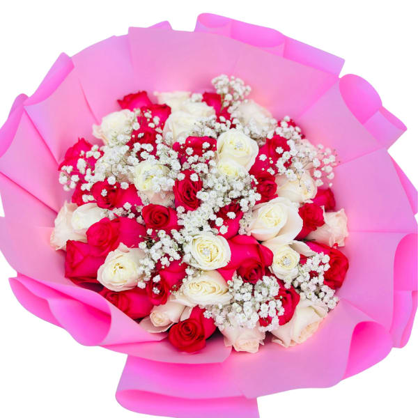 Bouquet of red and white roses with baby’s breath wrapped in bright pink paper