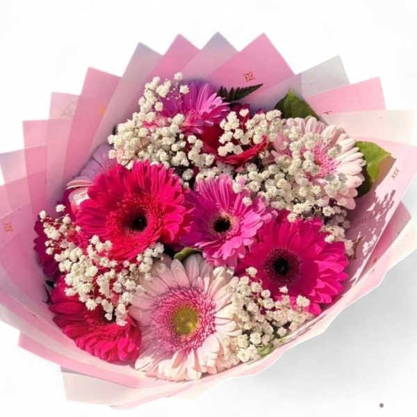 BUCHON GERBERAS