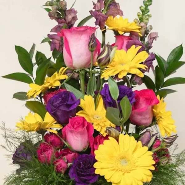 Designer's Choice Bright Tall