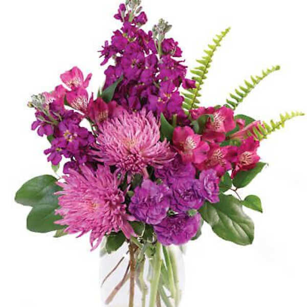 Very Violet