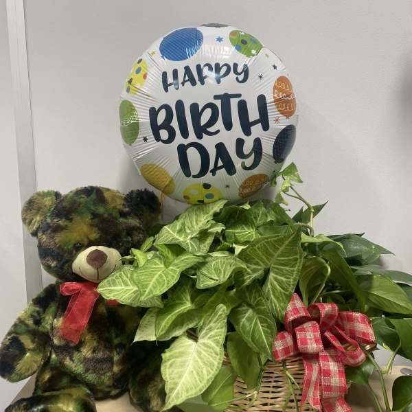 Potted plant basket with a birthday balloon and teddy bear