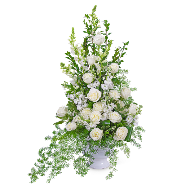 White roses and white stock in a white vase