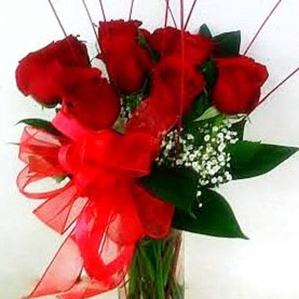 Red roses arranged in a clear glass vase with a red ribbon bow