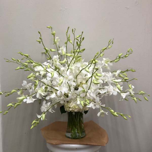 White orchid arrangement in a clear glass vase