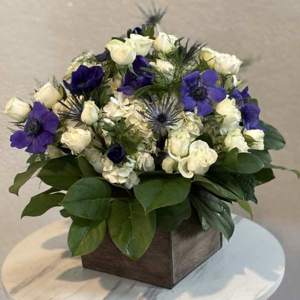 Midnight Elegance Garden Box