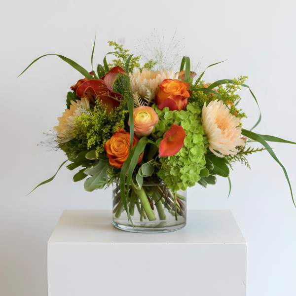 Orange You Glad To See Me