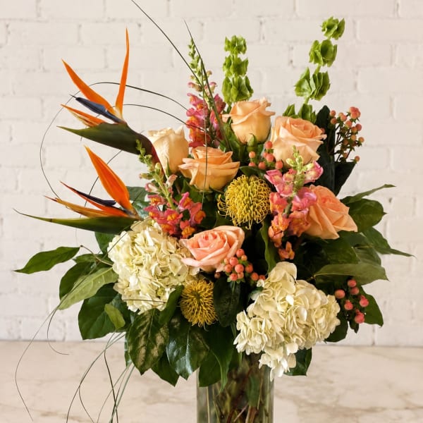 Adventure in the Tropics