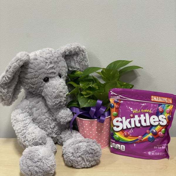 Gray plush elephant beside a potted plant and a bag of Skittles