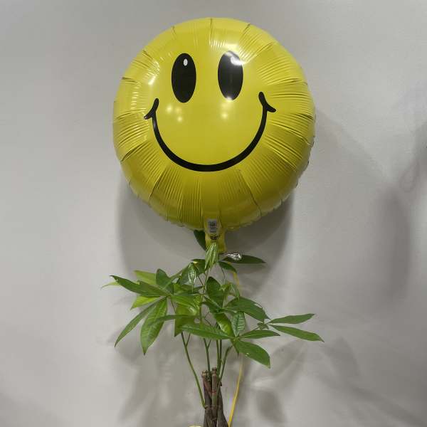 Yellow smiley-face balloon above a potted plant in a gift container