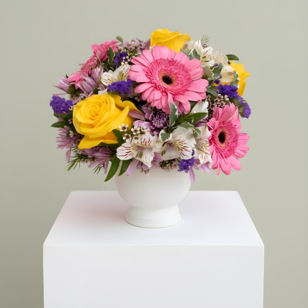 LF401 Morning Sunshine