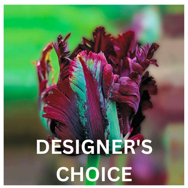 Abstract close-up of a multicolored flower with the words "DESIGNER'S CHOICE"