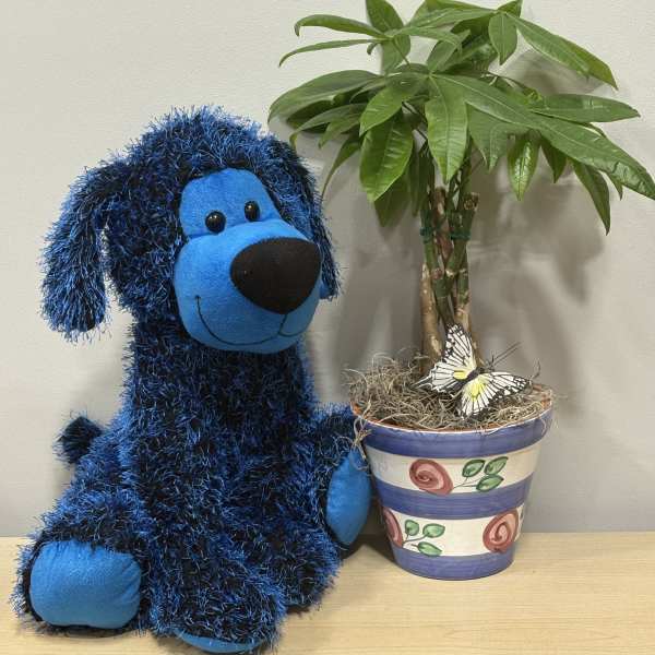 Blue stuffed dog beside a potted plant with a butterfly decoration