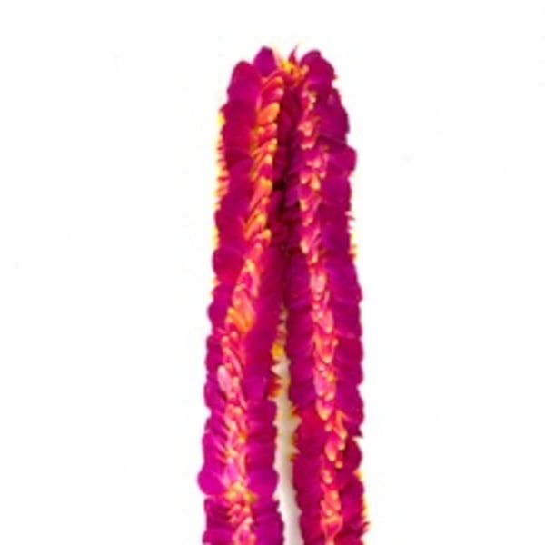 Two magenta flower leis with orange accents on a white background