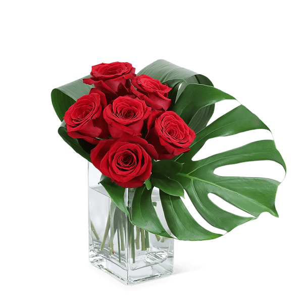 Red roses in a clear square vase with large tropical leaves