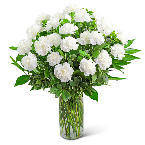 White carnations in a clear glass vase with green foliage