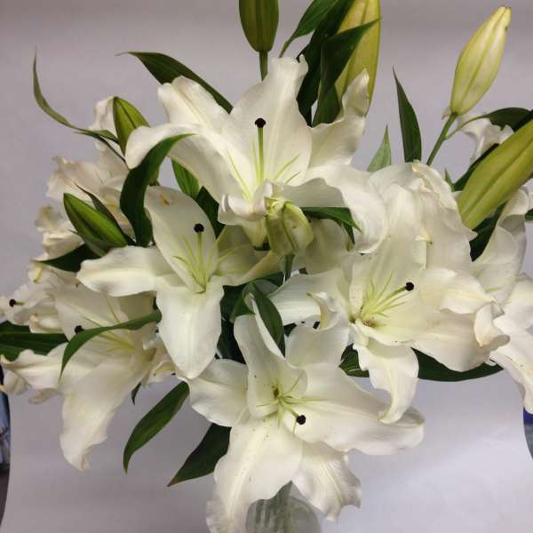 White lilies arranged in a clear glass vase