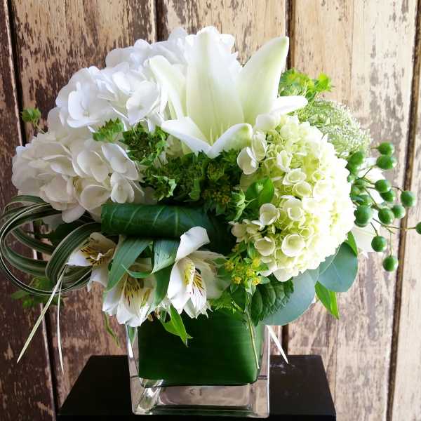 Hydrangea Cube